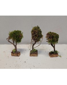 Tre alberi micro separati su basi suchero con chioma di muschio per statuine da cm 4 a cm 12